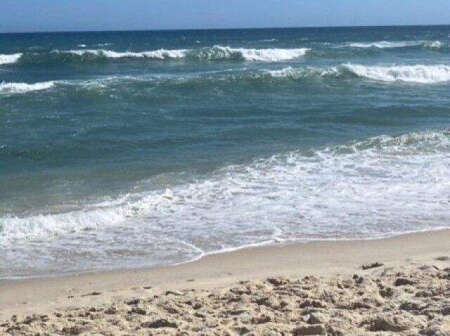 (Se você escolheu Família) Vocês foram a praia!⛱️🌊