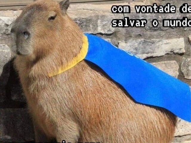 Sou uma capivara supermen