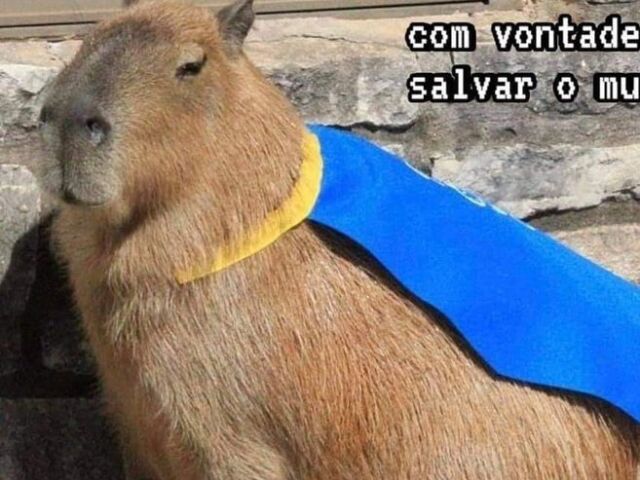 Capivara heroi