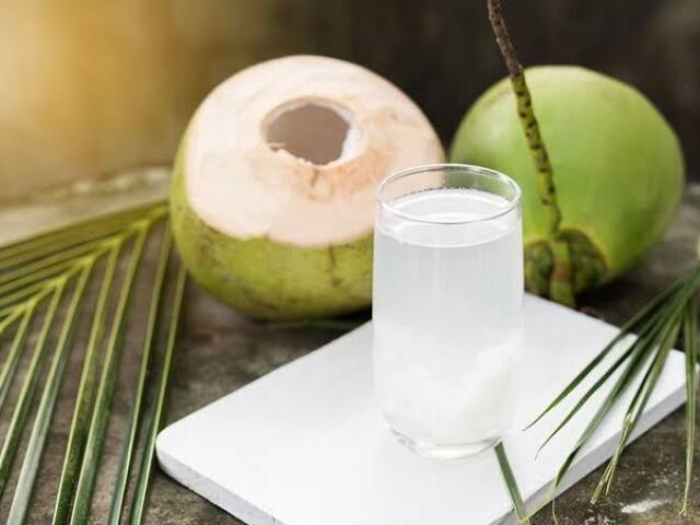 Água de coco 💧🥥