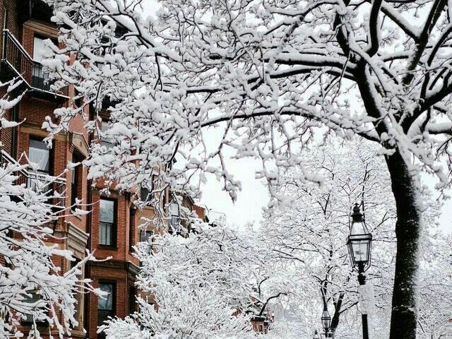 -inverno-