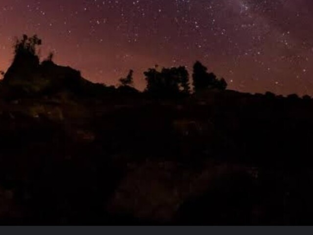 Floresta céu estrelado. Tão lindo!!!