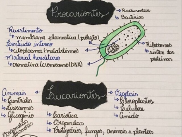 Biologia