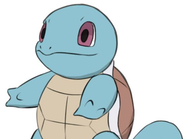Squirtle 🌊