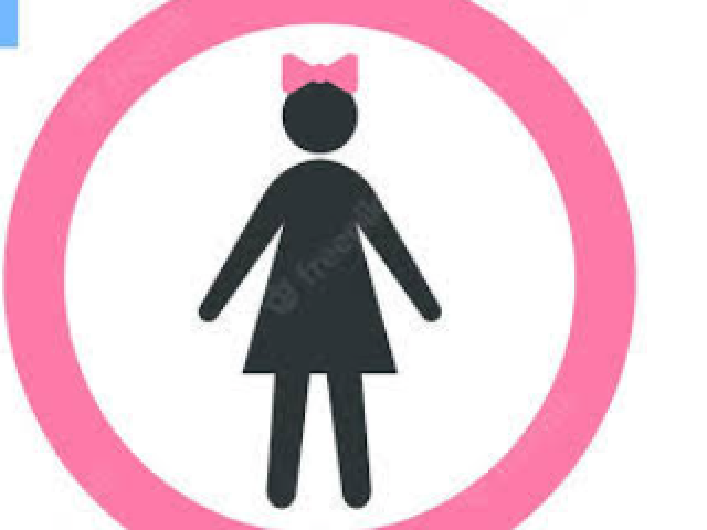 Feminino