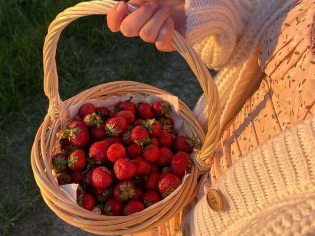 Renato de Lima Paiv🍓
