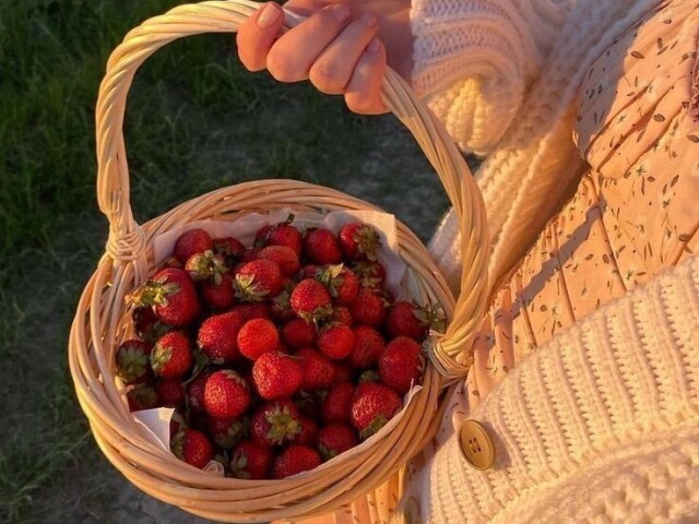 Renato de Lima Paiv🍓