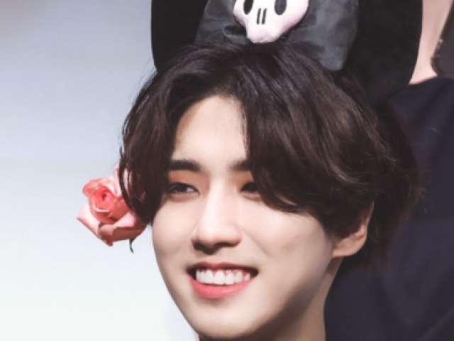 Han(Straykids)