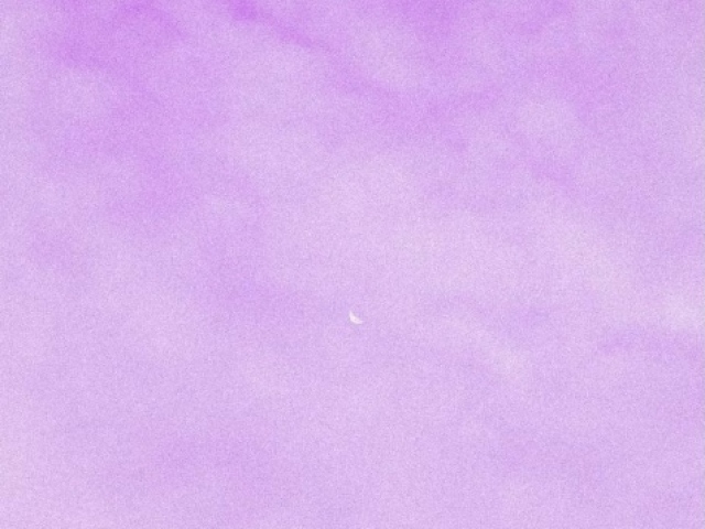 Lavanda