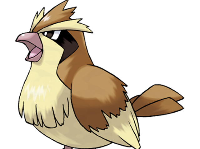 Pidgeye