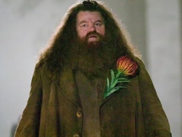 Hagrid