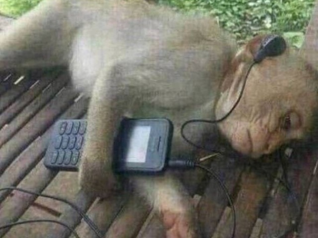 macaco triste ouvindo musga