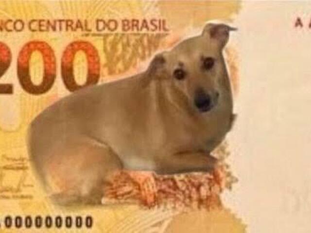 Cachorro caramelo