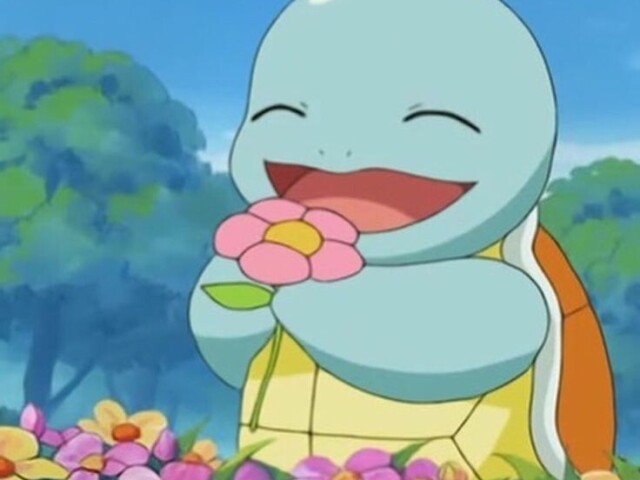 squirtle