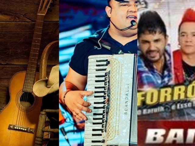 Sertanejo/modao, pisadinha e forro