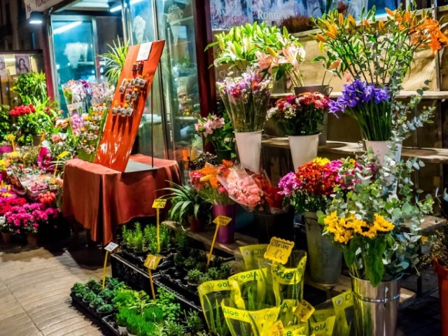 Dar um passeio na floricultura