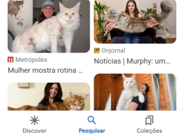 Não teria o gato gigante