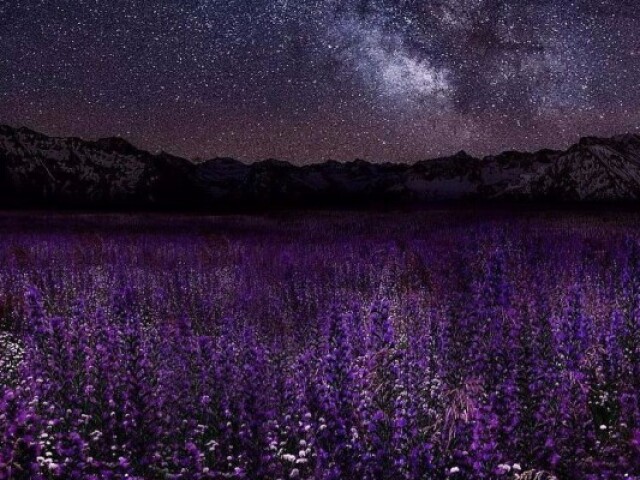 O espaço em um campo com varias flores amo a natureza