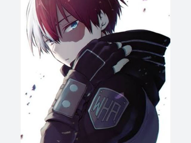 Shoto todoroki