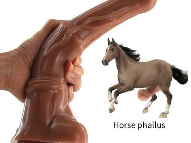 Caballo dildo