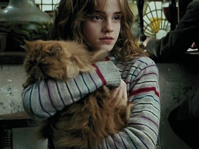 Hermione granger