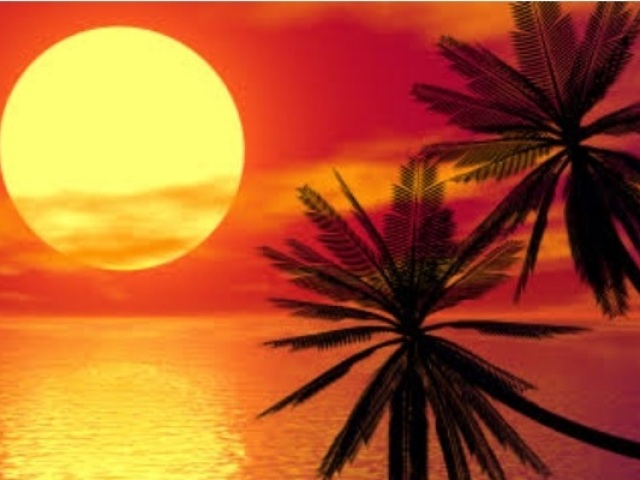 Verão