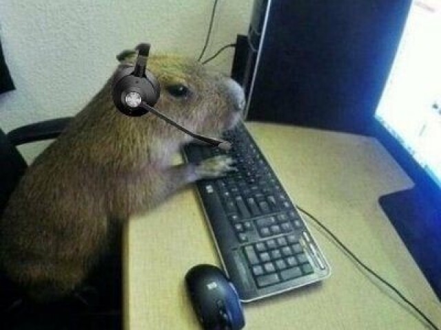 Capivara jogando free fire