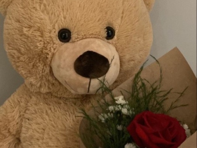 Urso pelúcia gigante é uma flor