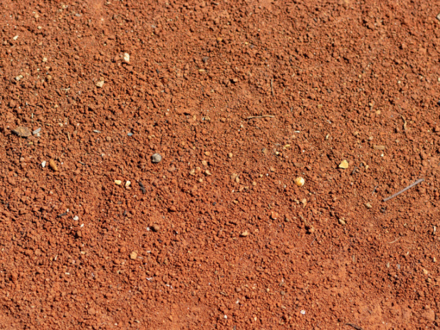 terra