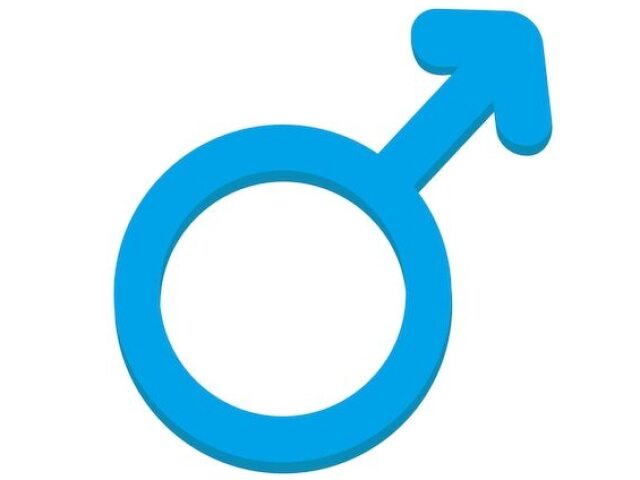 Masculino