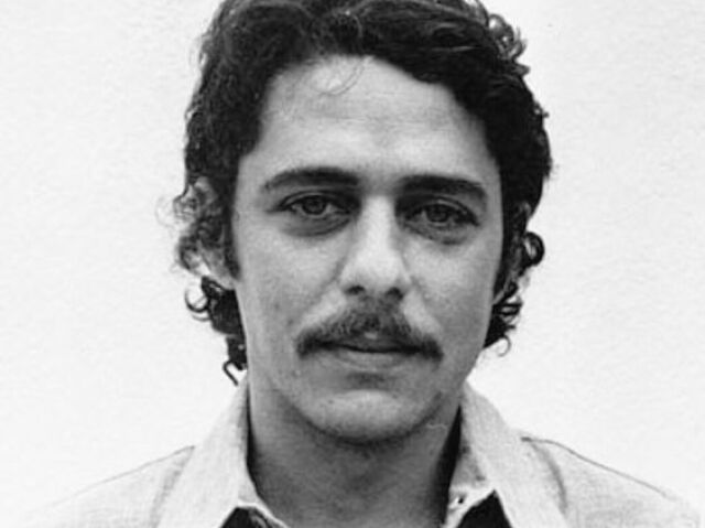 chico buarque (vamos fingir que ele é mais jovem - a idade não bateria)