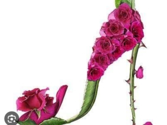 Sapato de flores