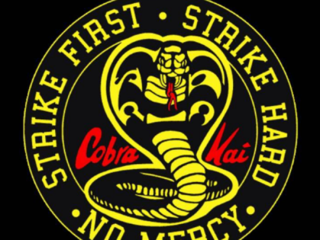 Cobra Kai 🐍❤️