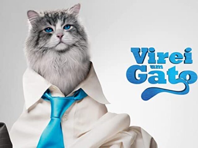 Virei um Gato