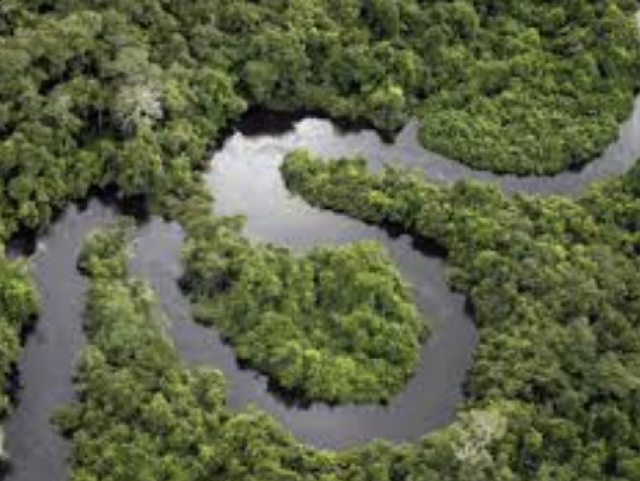 Amazônia