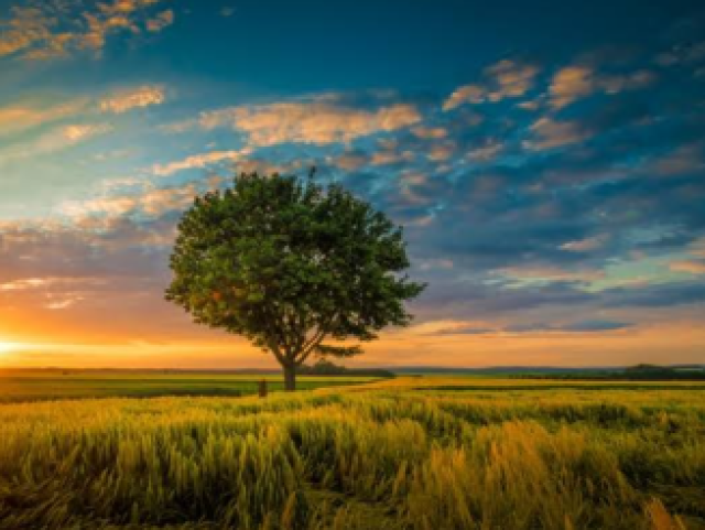 Natureza um por do sol é lindo 💕