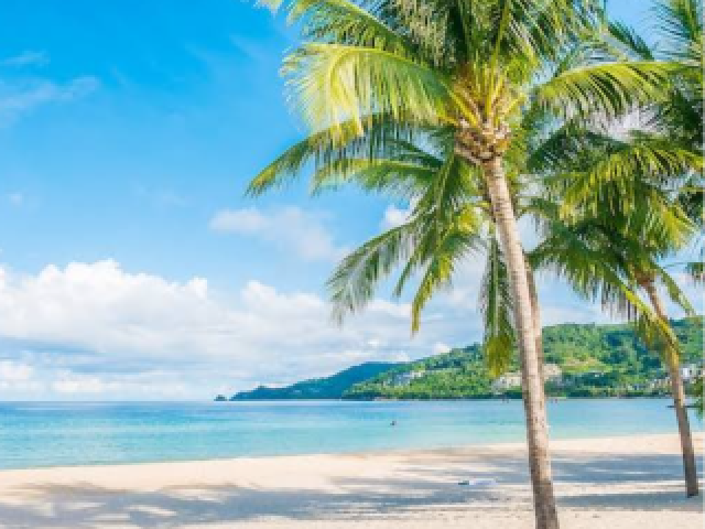 Praia ,sol,água de coco (pra quem gosta)