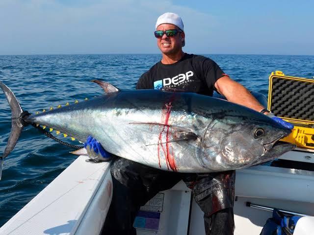 Um Bluefin, o peixe mais caro do mundo. As más línguas disseram que Vandeco ficou rico e apostou tudo numa partida de Truco num boteco qualquer. Após perder todo o seu dinheiro, nosso herói não viu outra saída a não ser virar frentista, utilizando todas as suas habilidades de sonegação fiscal para extorquir seus clientes. Após ser descoberto e apreendido, Vandeco foi obrigado a realizar trabalho comunitário. Ele limpava pichações e retirava chiclete da calçada sempre com um sorriso no rosto, mas por dentro a ira o consumia. A ira, propriamente dita, é uma ira única. Era uma ira advinda de todo esse sistema capitalista que o fez seder à sonegação e que, consequentemente, fez dele um mero trabalhador comunitário😔