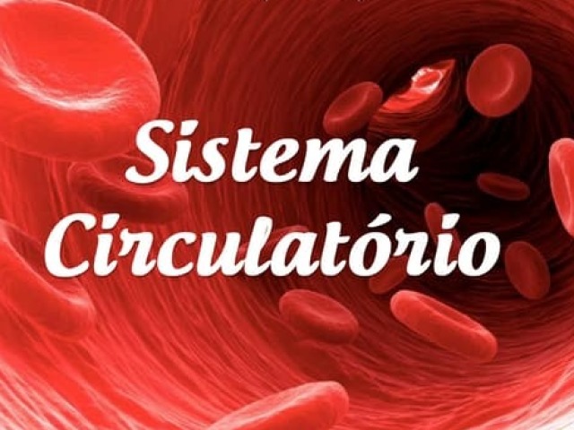 sistema circulatório