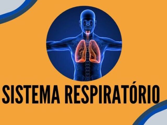 sistema respiratório