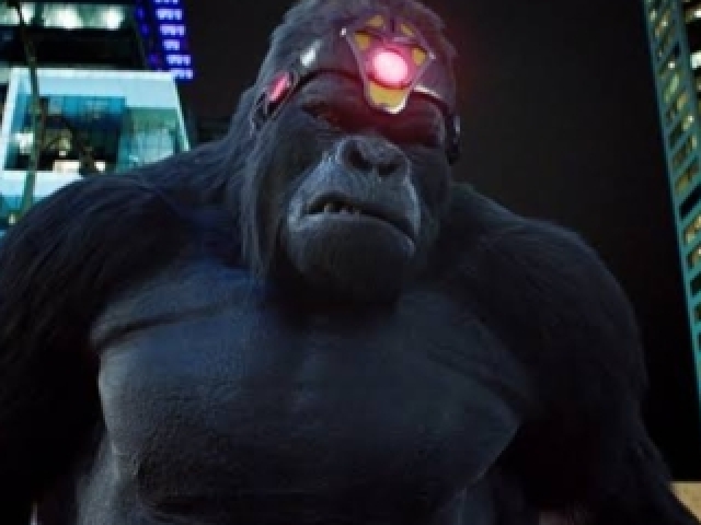 Grodd