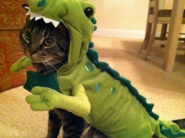 gato dinossauro