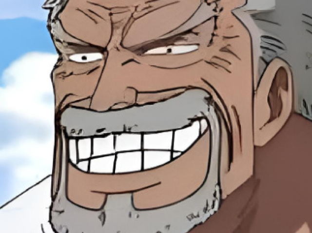 Monkey d garp