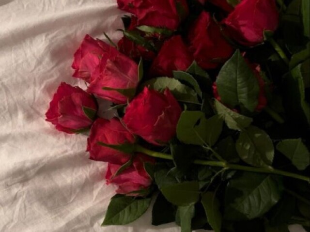 Rosas