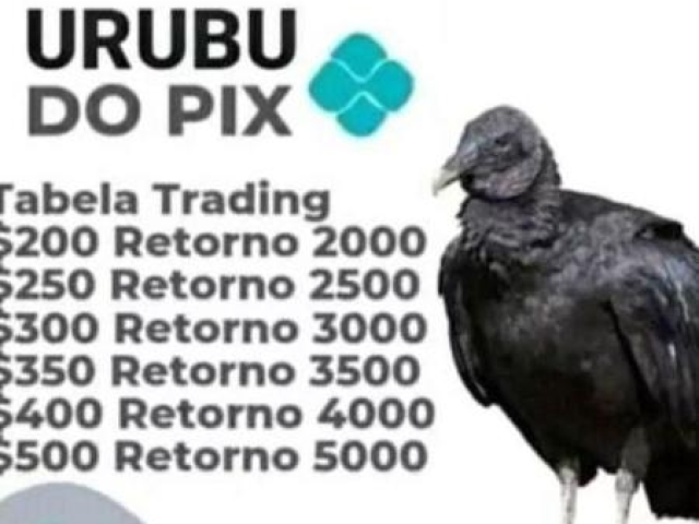 urubu do pix