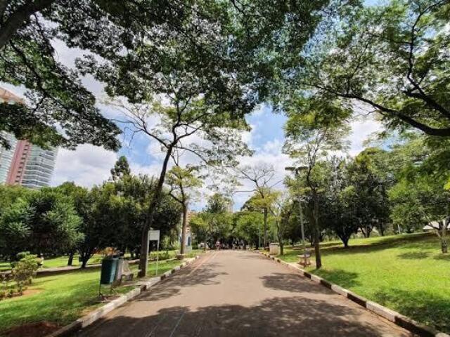 Parque de mato