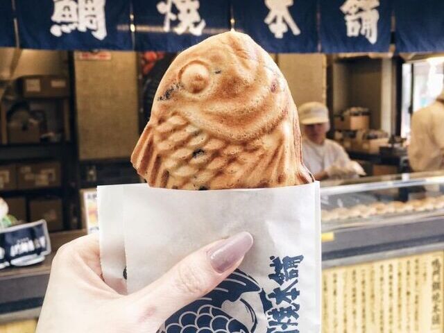˚✧「🌸」Taiyaki! 「🐠」˚✧₊