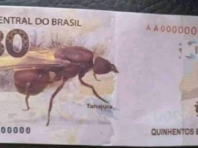 ele gosta de outono