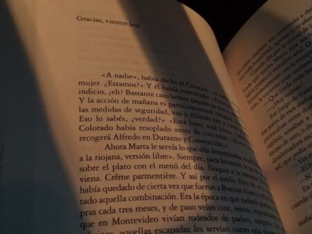 Ficou lendo um livro
