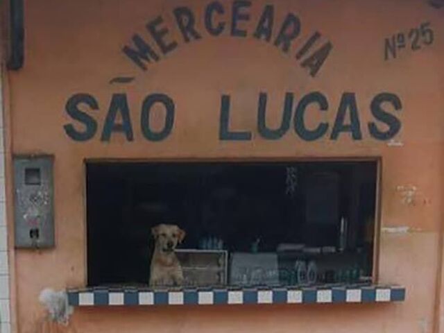 Mercearia São Lucas 😰